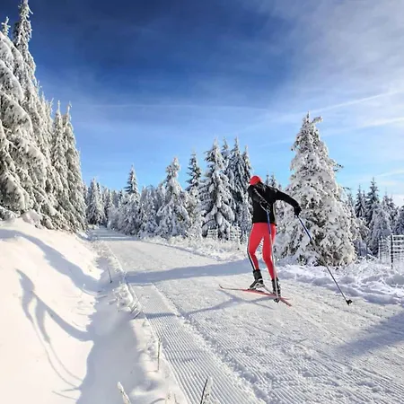 In With Ski-storage *