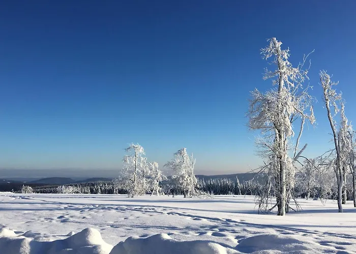 In With Ski-storage *