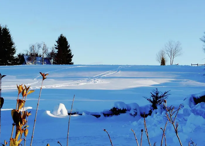 Vakantiehuis In With Ski-storage Bestwig