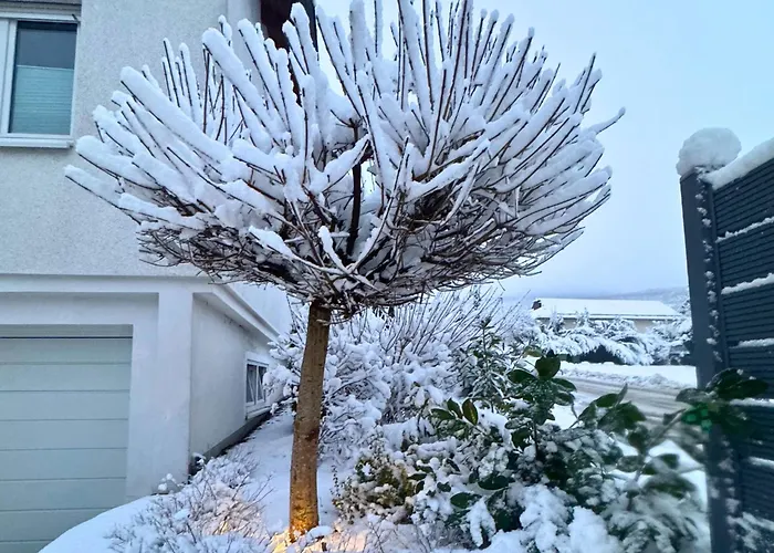 In With Ski-storage Vakantiehuis